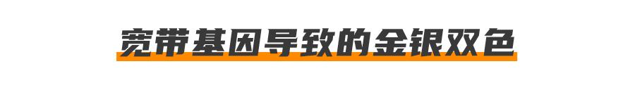 基因技术重大突破,基因科技的重大突破