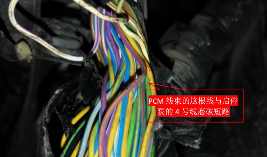 福特翼虎启停时好时坏是什么原因,福特翼虎没启动故障灯闪烁8秒