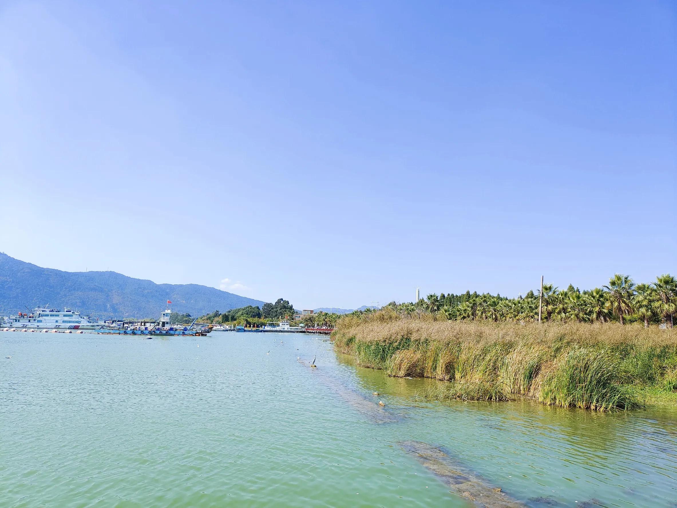 日思录：简单聊聊自我厌弃者