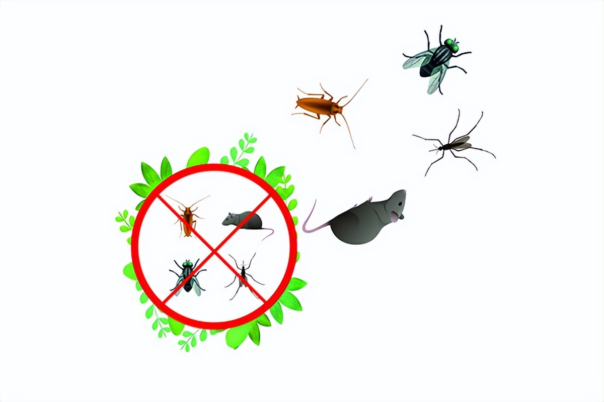 这些除四害知识你知道吗,四害消杀防治标准是什么