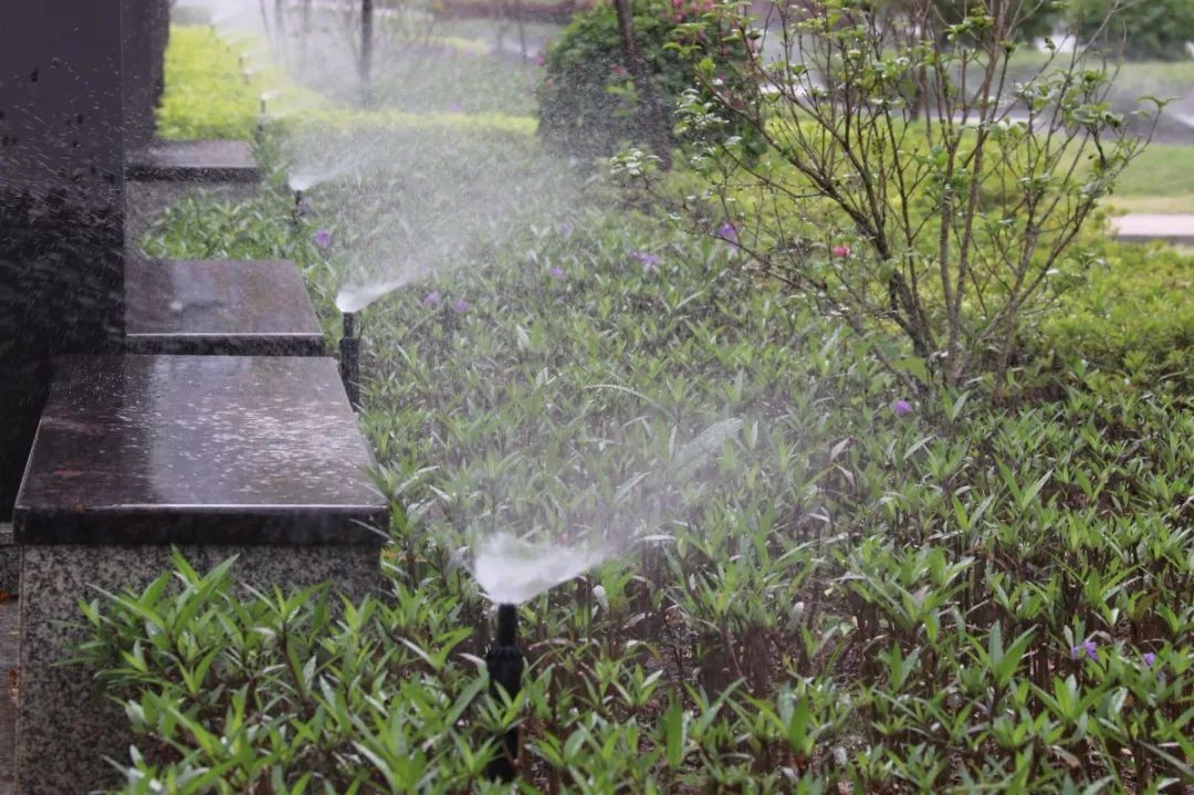 又是“别人家的大学”!“两房一厅”宿舍,“花园楼阁”餐厅!