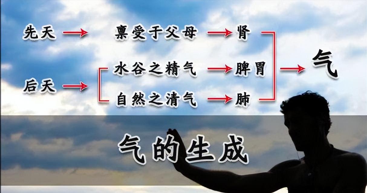 中医的补气就是提高免疫力吗,免疫力就是这么强大