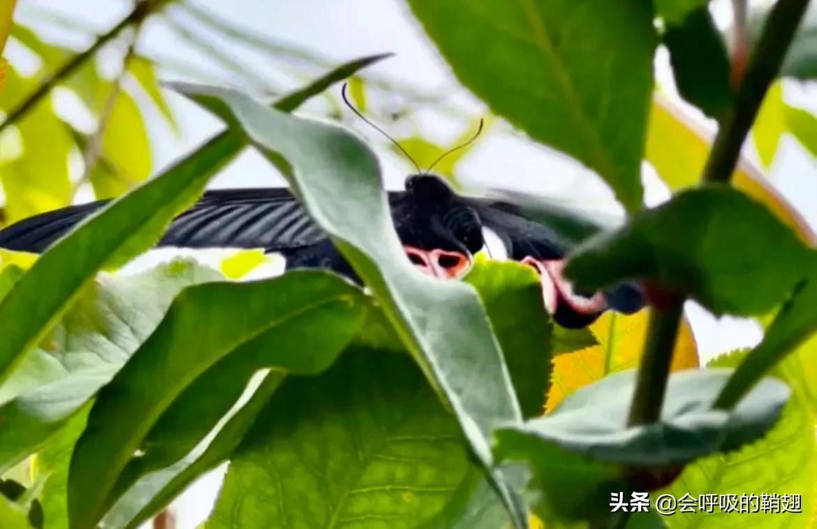 5个月的等待,经过5个多月的漫长等待