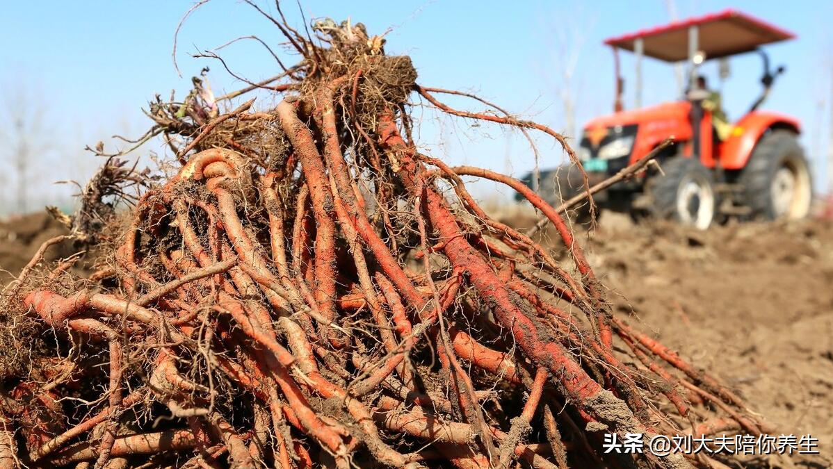 腰疼手脚麻木特效药,治腰疼腿麻偏方