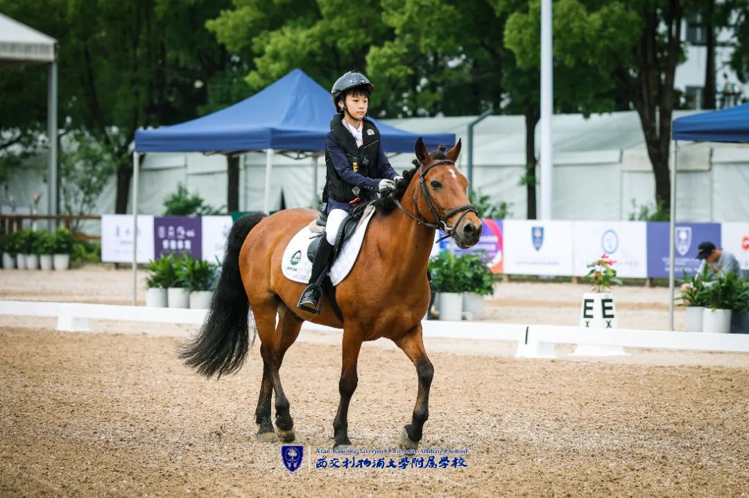 2021年苏州市青少年阳光体育联赛,苏州市青少年阳光体育联赛游泳