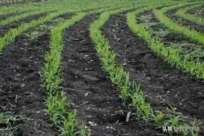 想与俄罗斯一较高下的“乌克兰”，今天带你看看真实的乌克兰现状