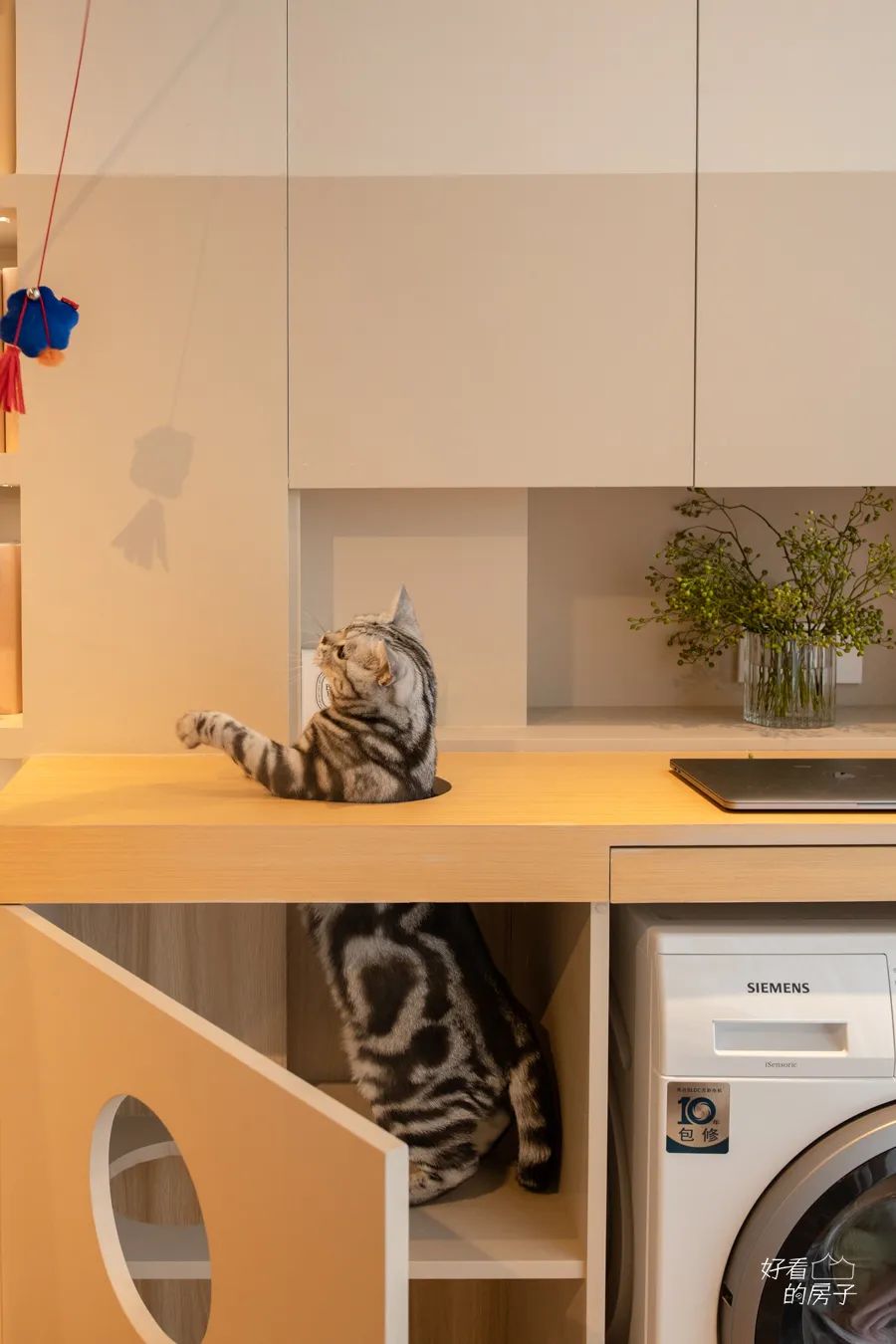 好看的房子还有一些细节,好看的房子外表