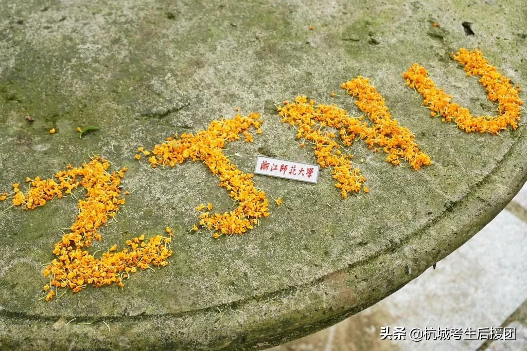 浙江师范大学|传说中的“吃饭”大学？成为世界排名里的黑马