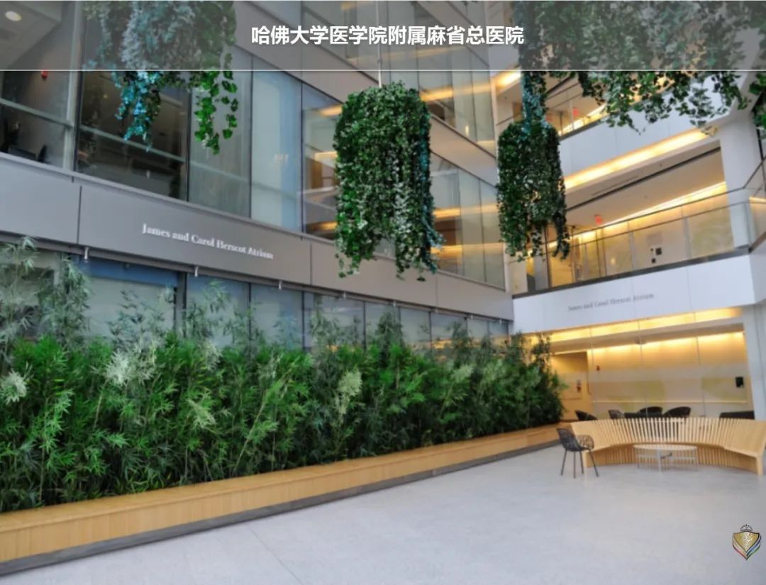 为什么买中端医疗,一般家庭买中端医疗还是高端医疗