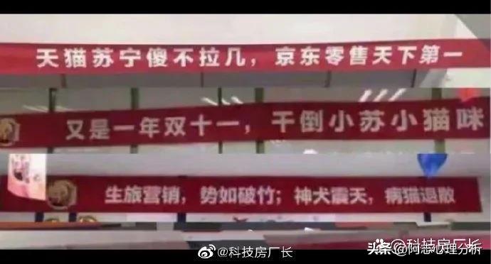 国美电器长江路望泽店,国美电器东山再起原因