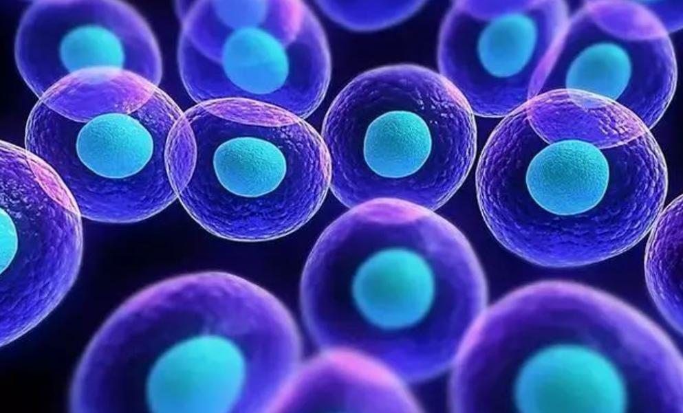 治疗阳痿缺哪种营养,年纪轻轻阳痿怎么治