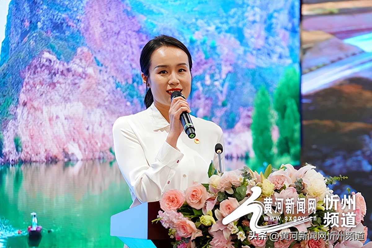 偏关县绿色农旅,偏关县新能源