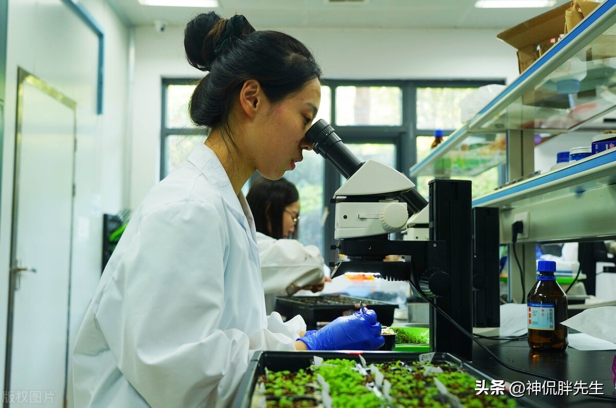 职场遇到喜欢抢你功劳的领导,职场中遇到恶心的领导抢功劳