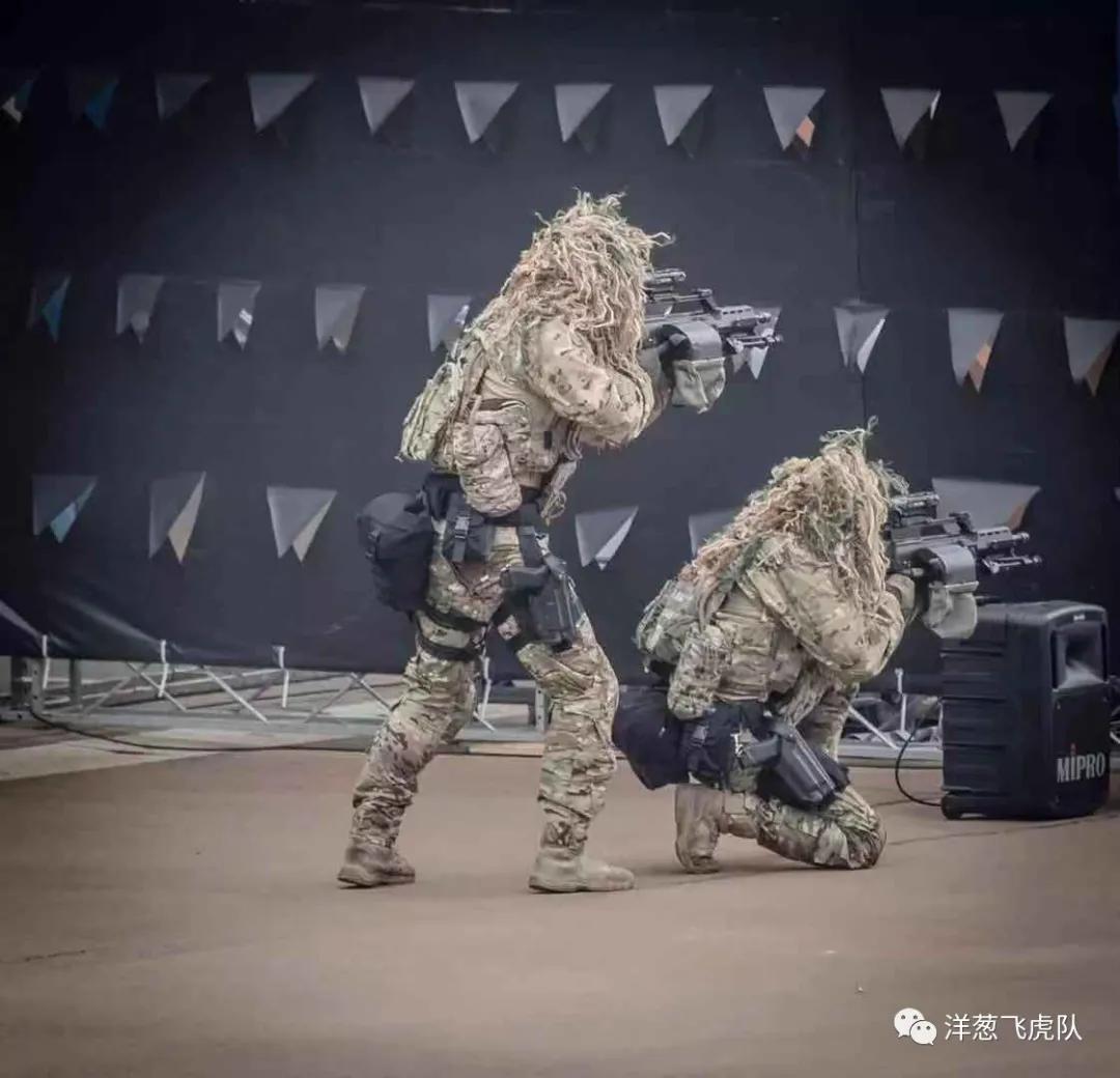 虎年说虎科普视频,虎年说虎运用了哪些说明方法