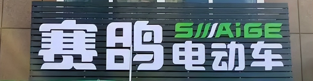 电动车加盟商的盈利模式,2024年电动车加盟行业走势