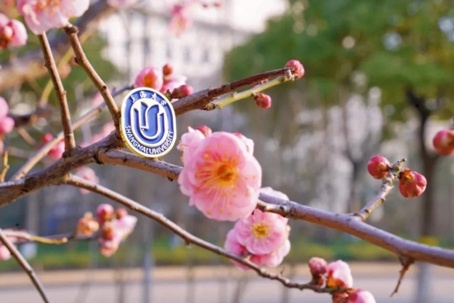 上海大学招生新政策,高考报考的上海大学有哪些