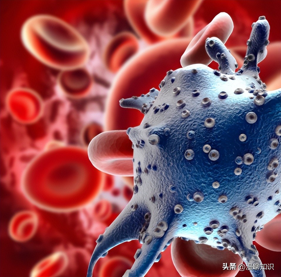 马传染病的传播,马传染性子宫炎