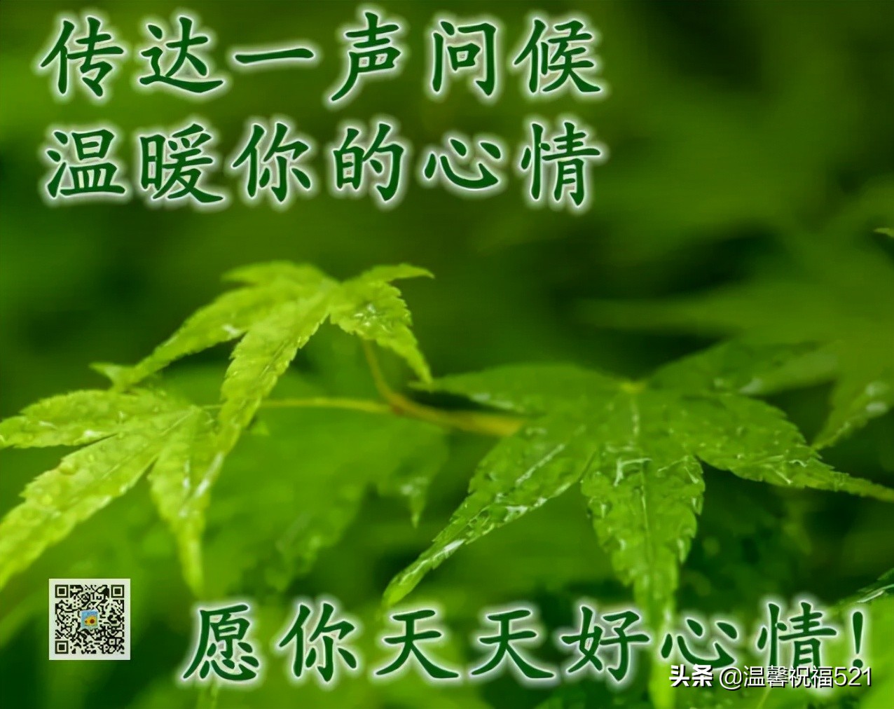 早上好最新问候语简短一句话图片,11月2日早上好问候图片