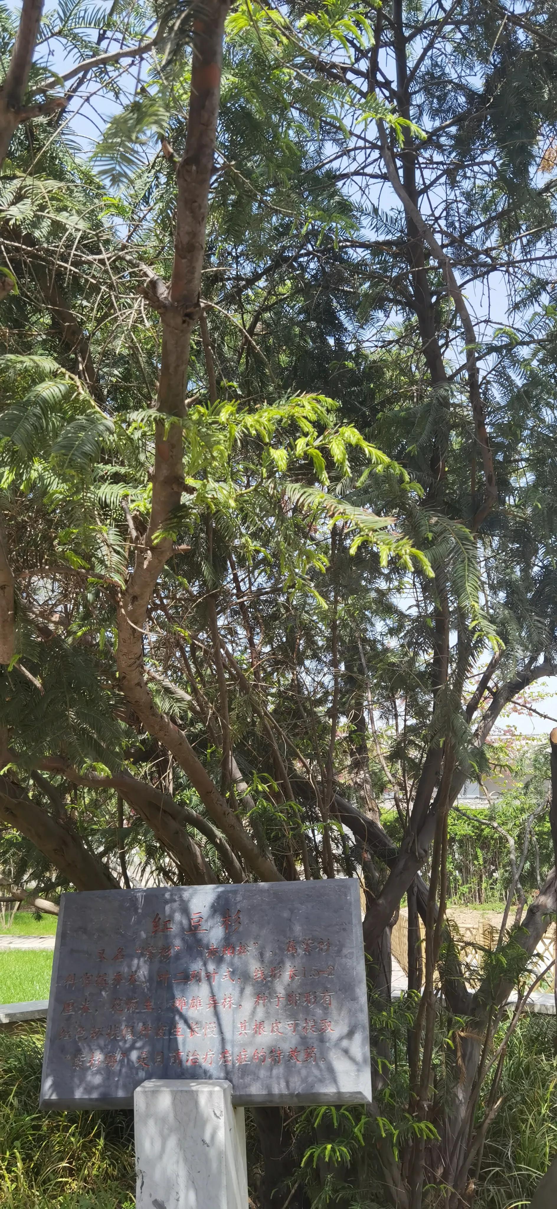 三原初见婚纱,三原一街两巷