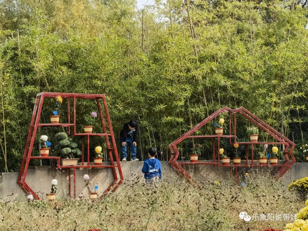 时间都去哪儿了小品完整版,时间都去哪儿了感悟