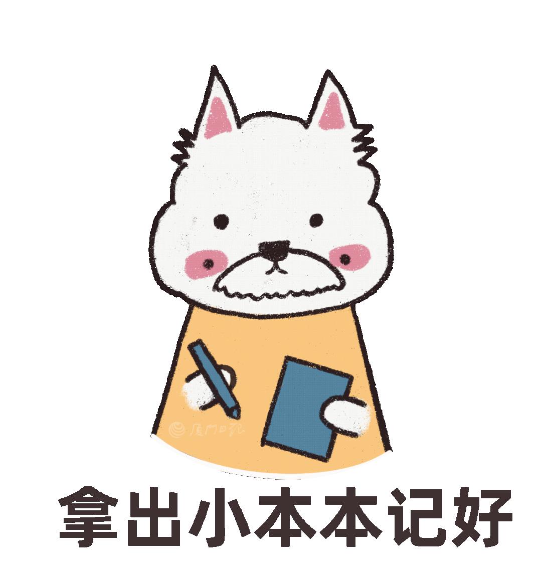 鼓浪屿景区免费开放,鼓浪屿景区免费开放船票当天买吗