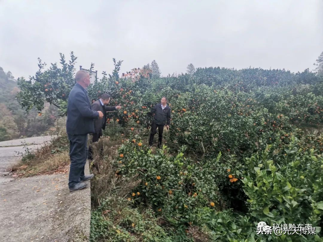 黄平县乡村振兴,黄平县纸房乡各村