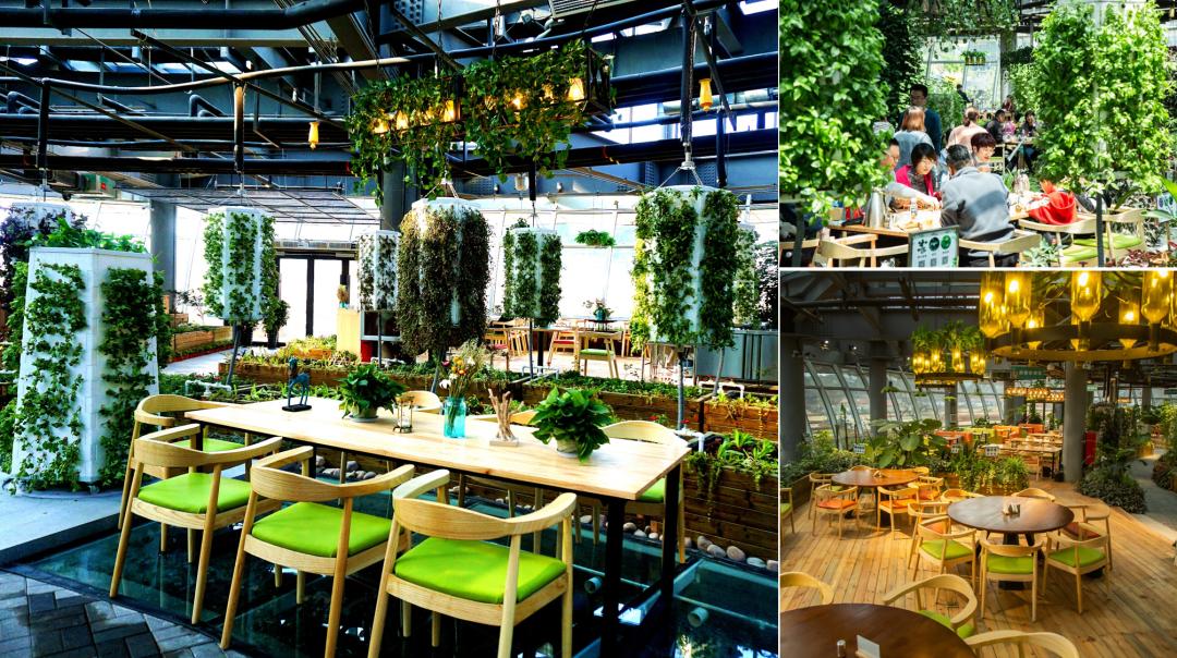 沂蒙乡村振兴学习感悟,乡村振兴看沂蒙专题