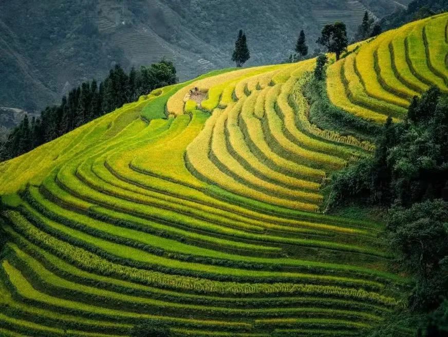 云南零食排行榜前十名,云南特产干货零食