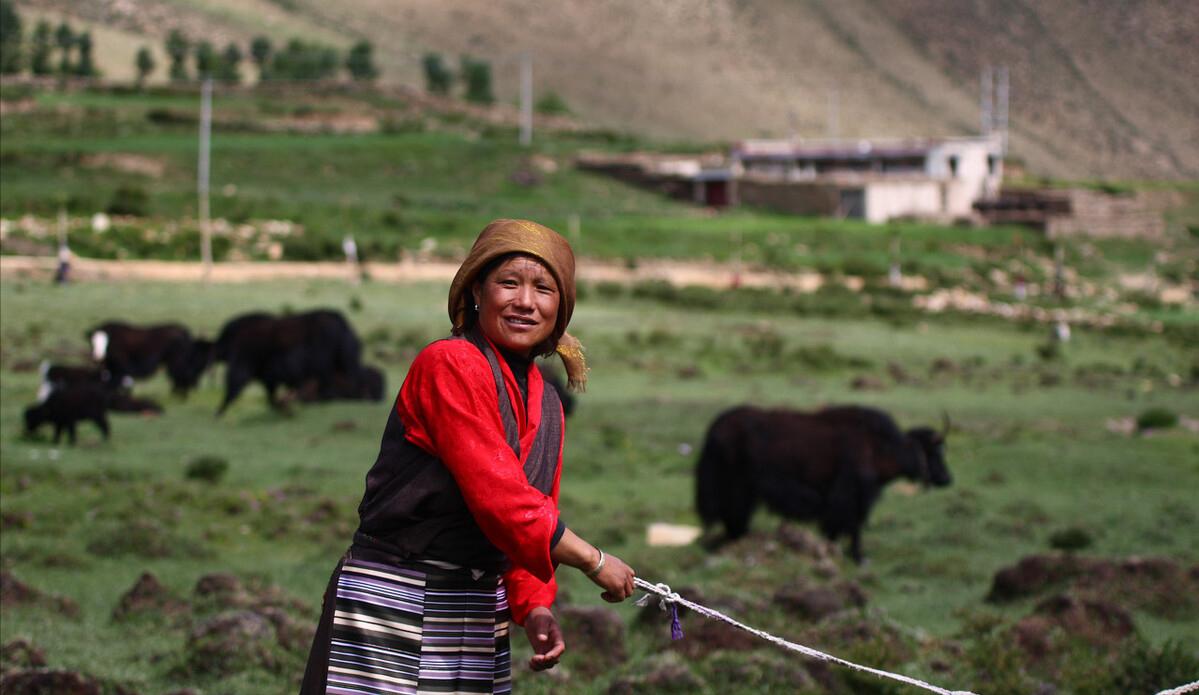 人类的稀有基因有哪些特点,人类隐藏了最稀少的基因