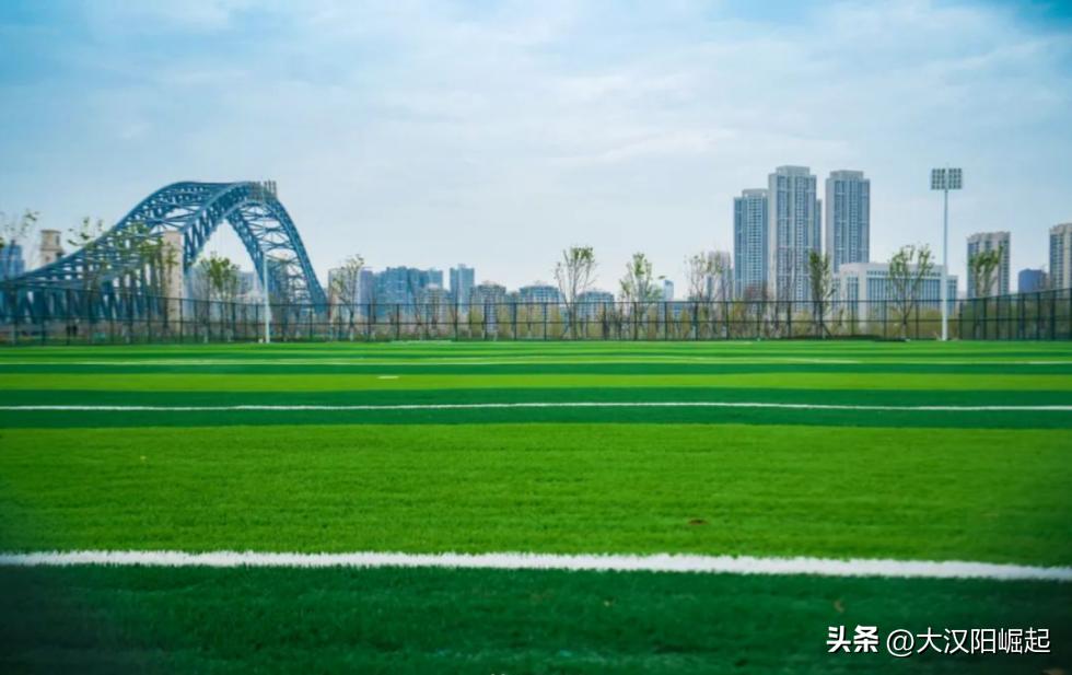 最新汉阳新建公园,汉阳玫瑰体育公园最新进展