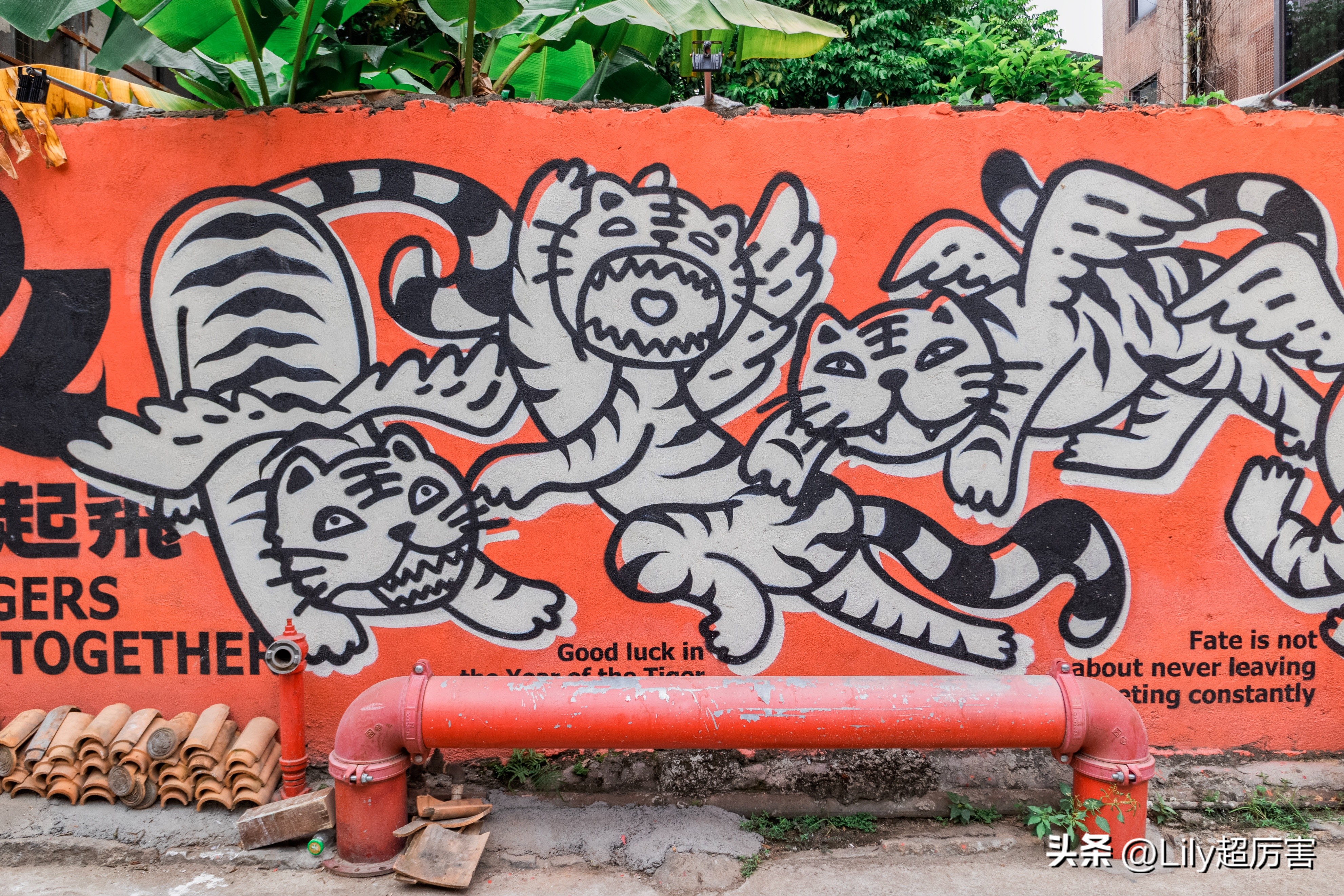 珠海北山村从哪里进去,珠海北山村的详细地址