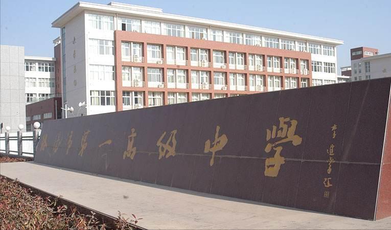 后生可畏学渣逆袭路,洛阳一高理科状元