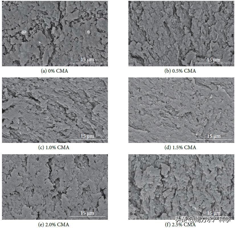 藻多糖功效,藻多糖的作用与功效
