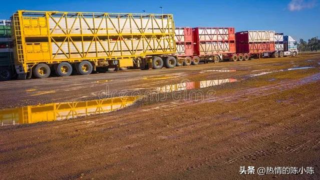 蒙古姑娘出嫁要陪嫁多少东西,蒙古姑娘出嫁仪式