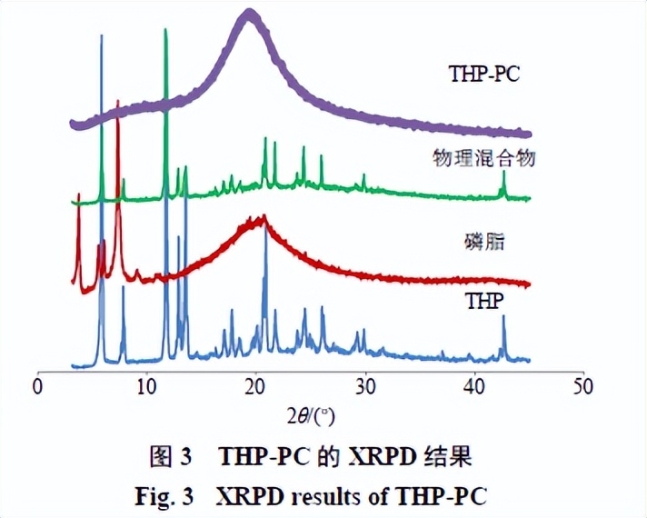 延胡索乙素磷脂复合物及其固体分散体、油制剂、纳米混悬剂的制备