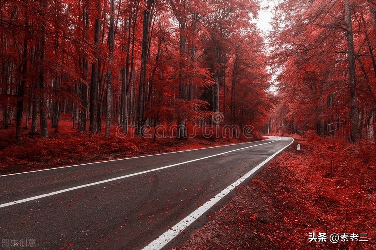 女作家去做保姆443集,女作家去做保姆最新一篇