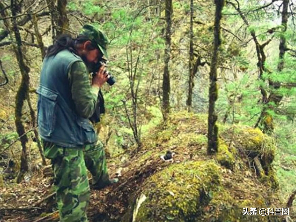 神农架深处为何被列为禁区进不去,神农架深处为何被列为禁区知乎