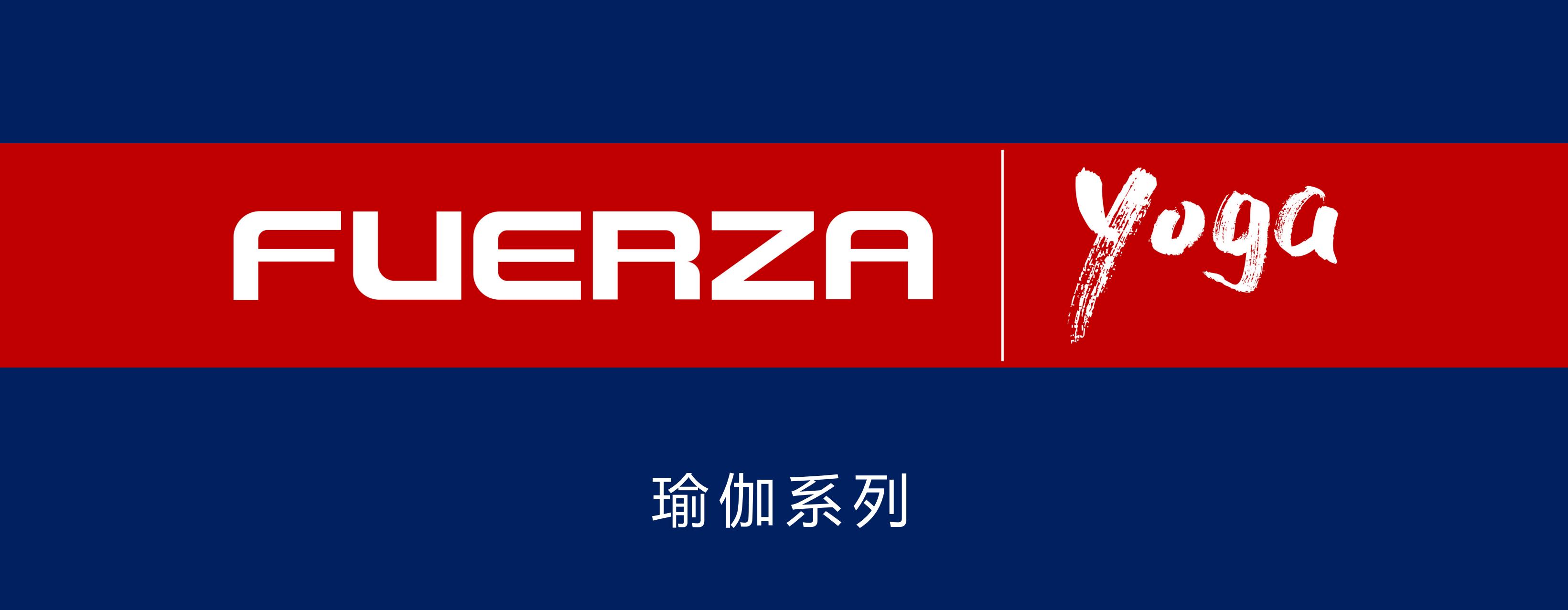 飞力嘉在韩国的地位,韩国飞力嘉中国官网