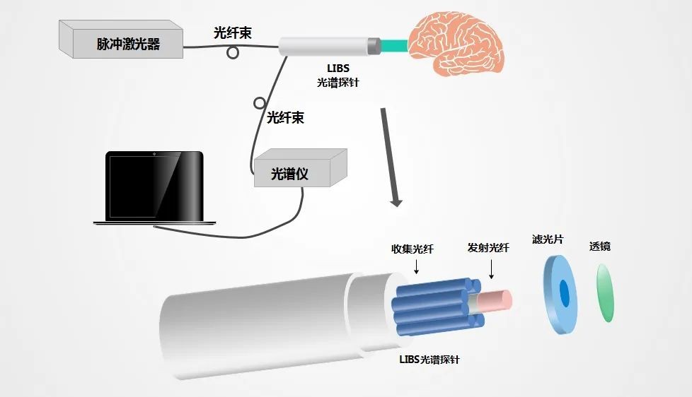 本硕博连读！手握23篇SCI！北理工全能学霸，成果为“肿瘤切除”提供新思路