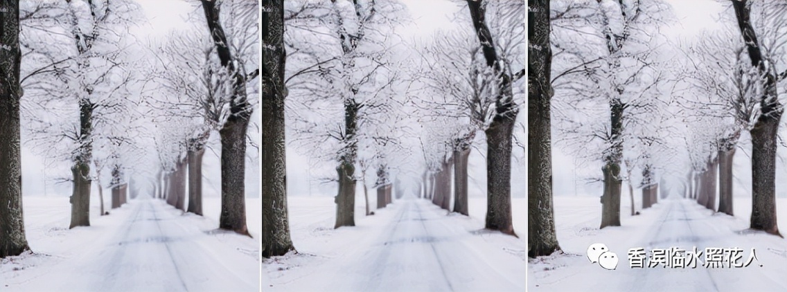 那次玩得真高兴习作思维导图,这次玩得真开心作文思维导图