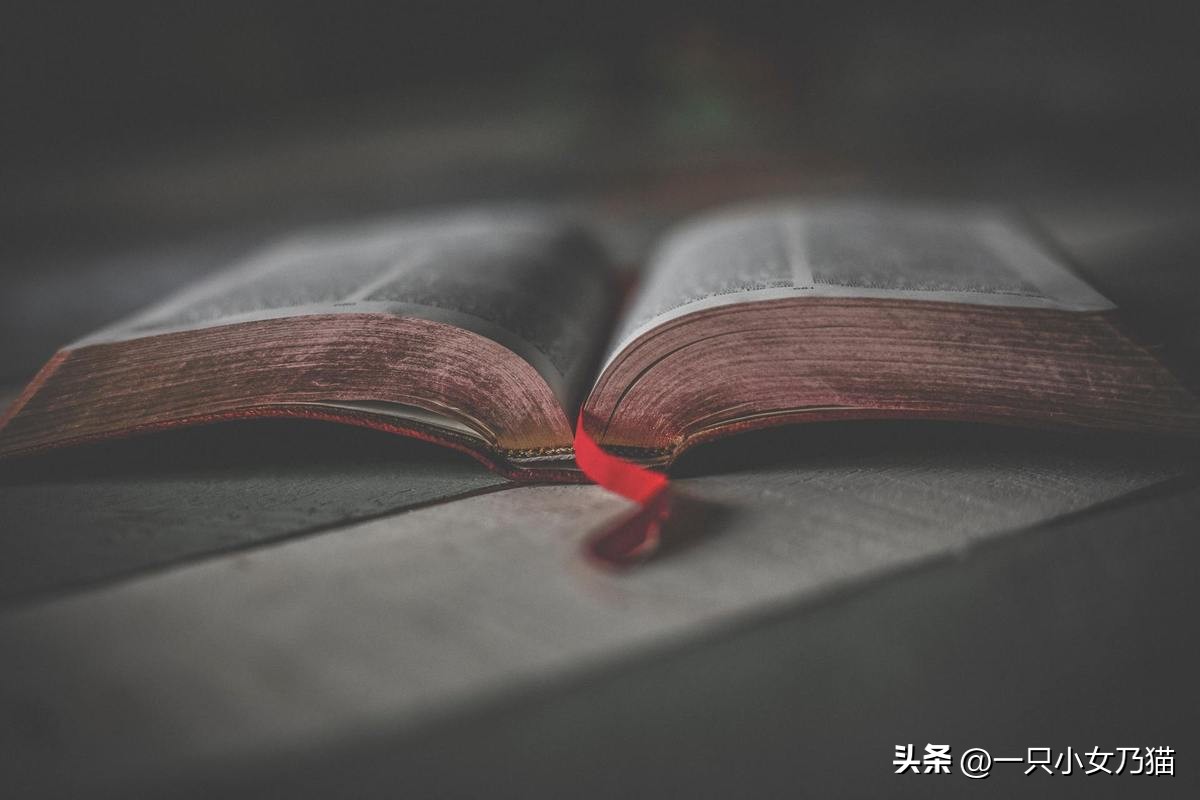 如何拓展思维提高认知,如何扩大你的认知赚钱