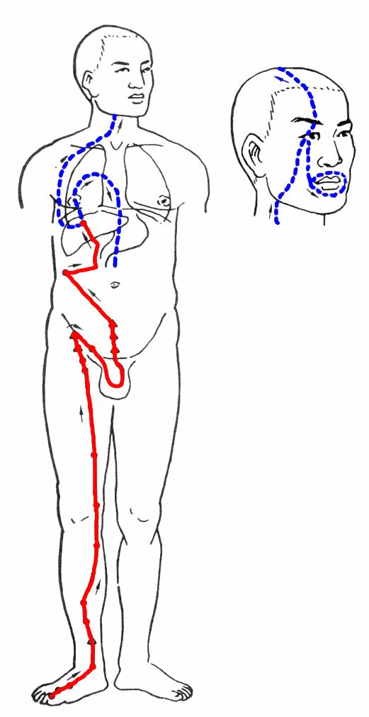 肝郁的人容易有结节,试试这3类方法,疏肝解郁