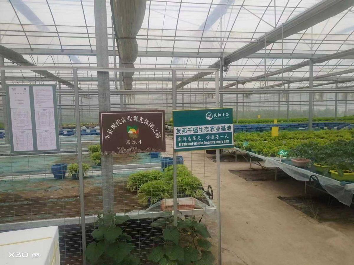 探寻友邦千盛协会商业生态链中的璀璨明珠：有机生态基地