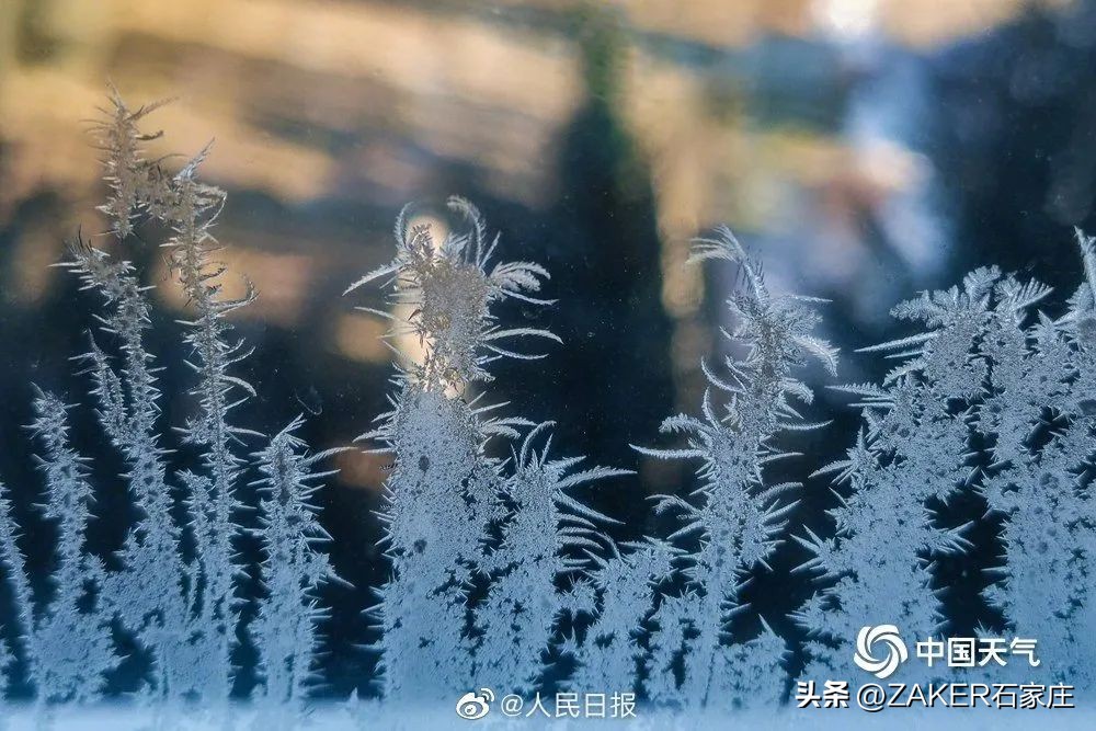 早新闻11.12|石家庄正太饭店对外开放；供暖初期，“暖心贴士”请收好；一图看懂进一步优化防控的二十条举措