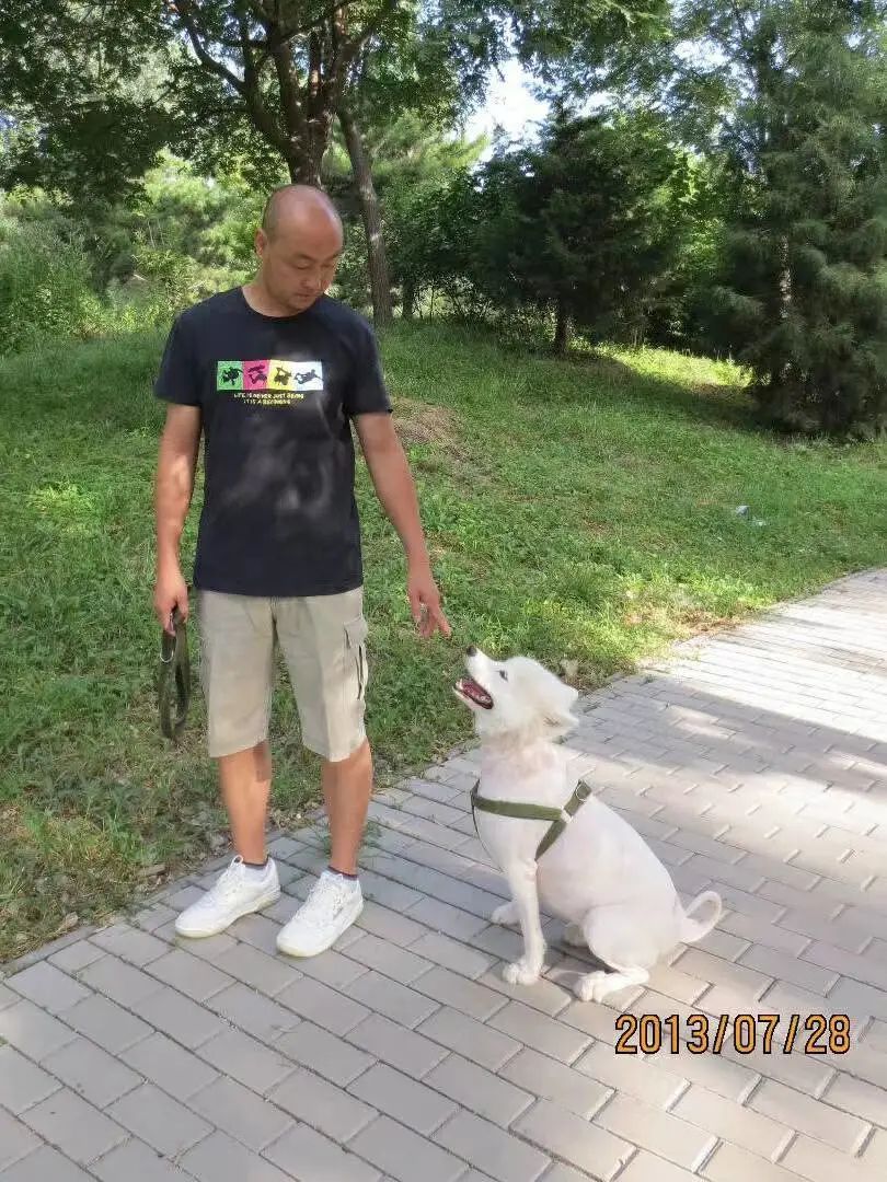 我，秃头，改学纹发后月入10万