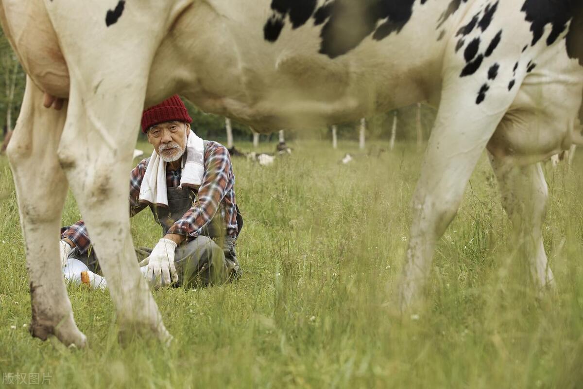 畜牧经营管理如何打造国际竞争力,如何提升畜牧产业竞争力