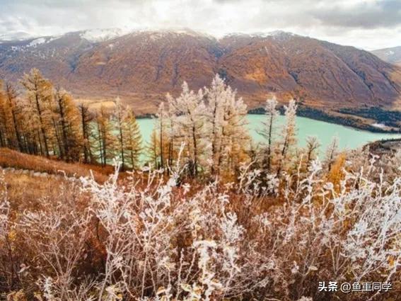 霜降寓意着天气逐渐变冷,今年霜降日是什么预兆