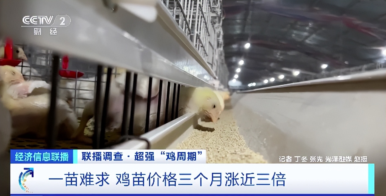 冷门暴利行业致富经,农村十大暴利行业创业防骗