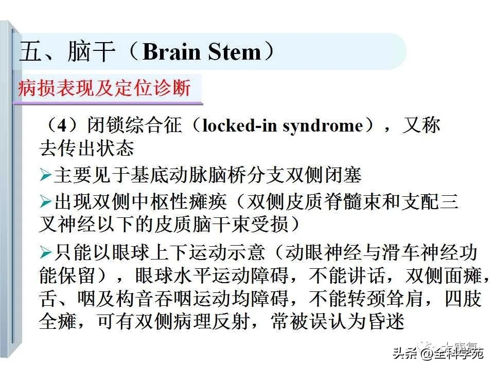 神经系统的影像与解剖定位,最全神经解剖图