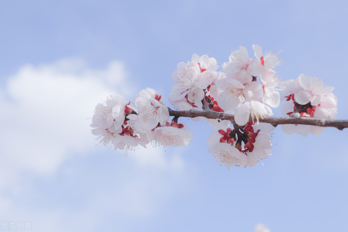 问号的内涵,问号的认识